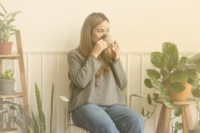 Plantas dentro de casa